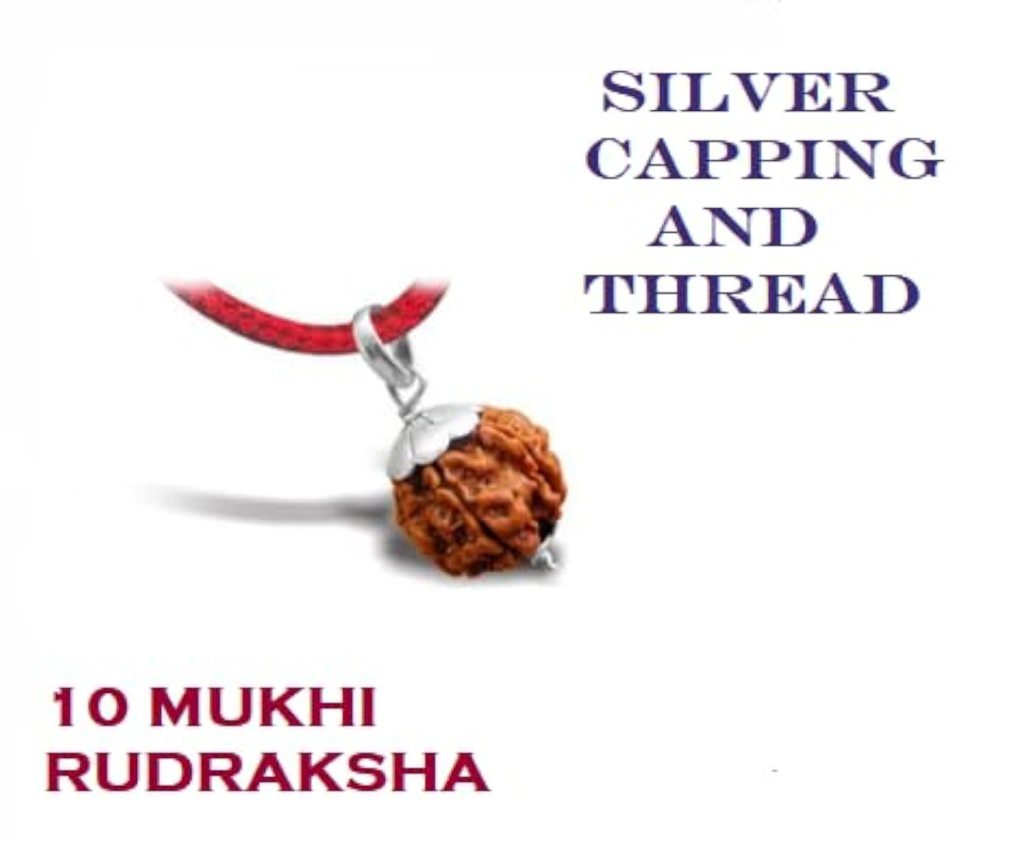 Ten Mukhi Rudraksha Bead, Original Certified from Nepal